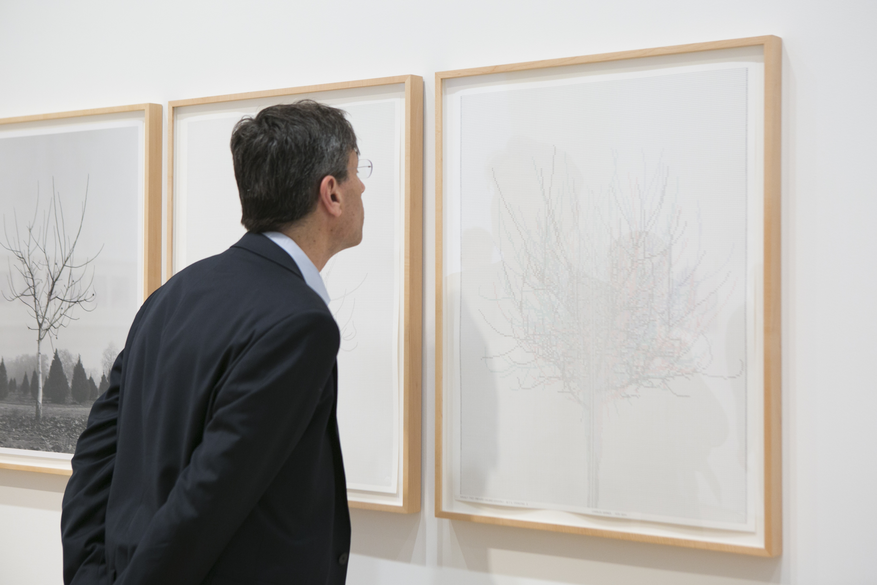 A man looks closely at a set of three drawing of the same tree on graph paper.